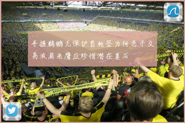 手握鹈鹕无保护首轮签为何急于交易浓眉老鹰应珍惜潜在基石